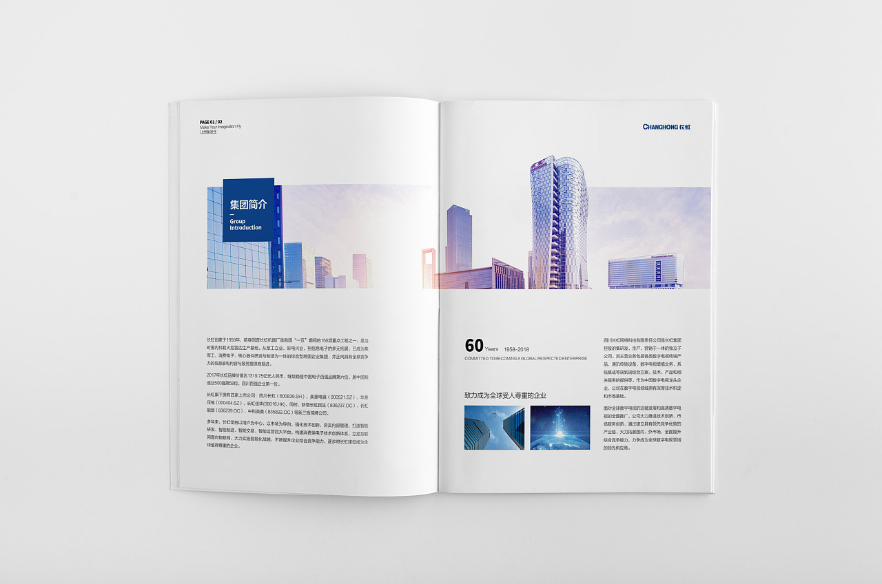 長虹簡介 長虹簡介