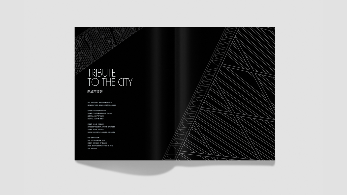 地產(chǎn)畫冊設(shè)計(jì)2 地產(chǎn)畫冊設(shè)計(jì)2