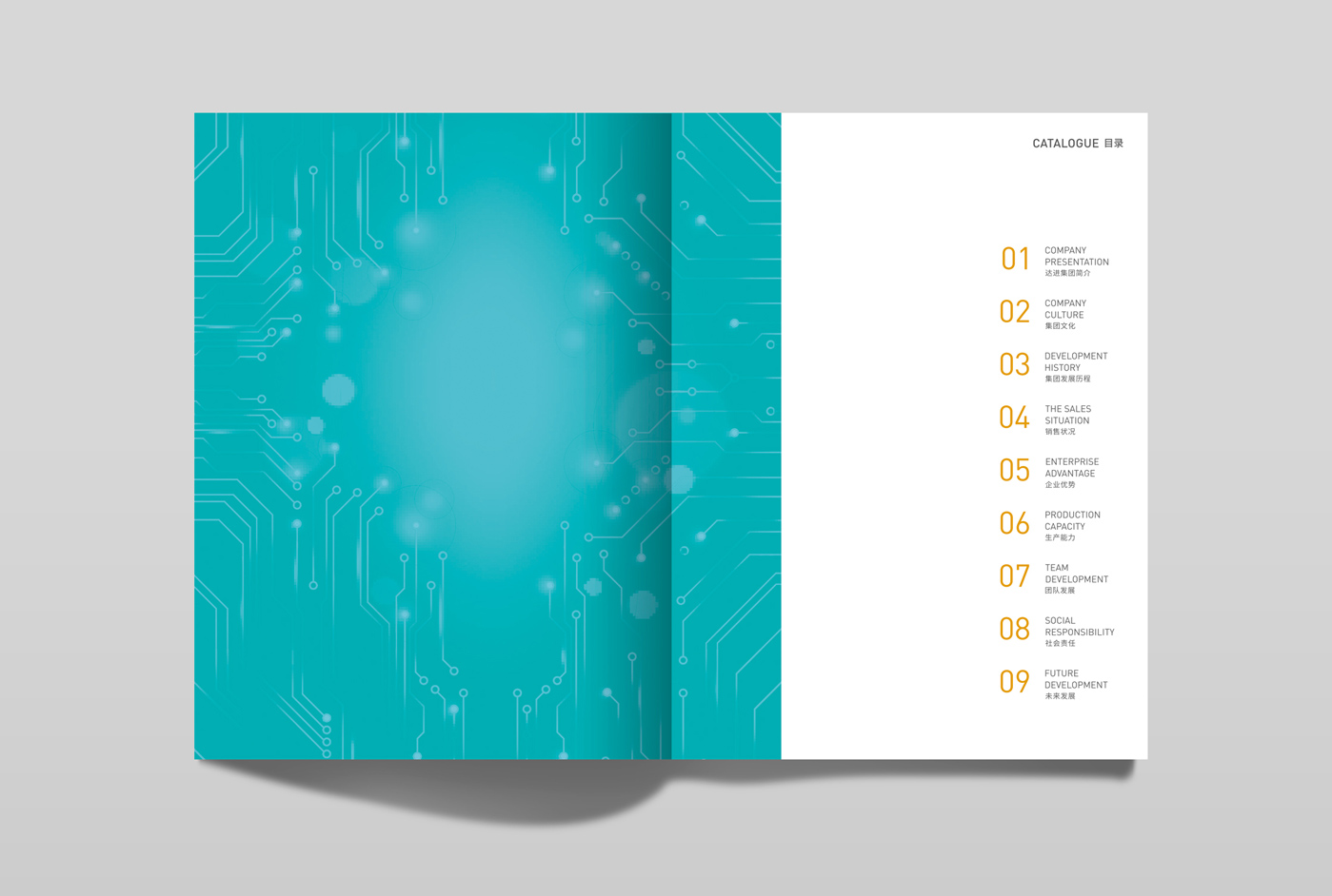 達進集團畫冊設計1