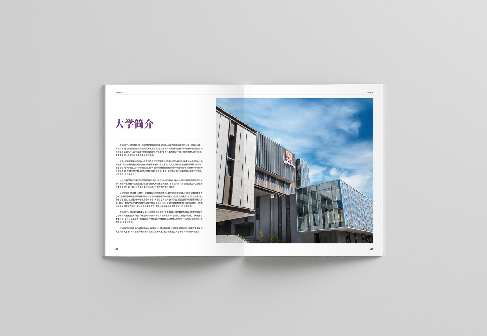 香港中文大學(xué)（深圳）研究生院畫(huà)冊(cè)設(shè)計(jì)11